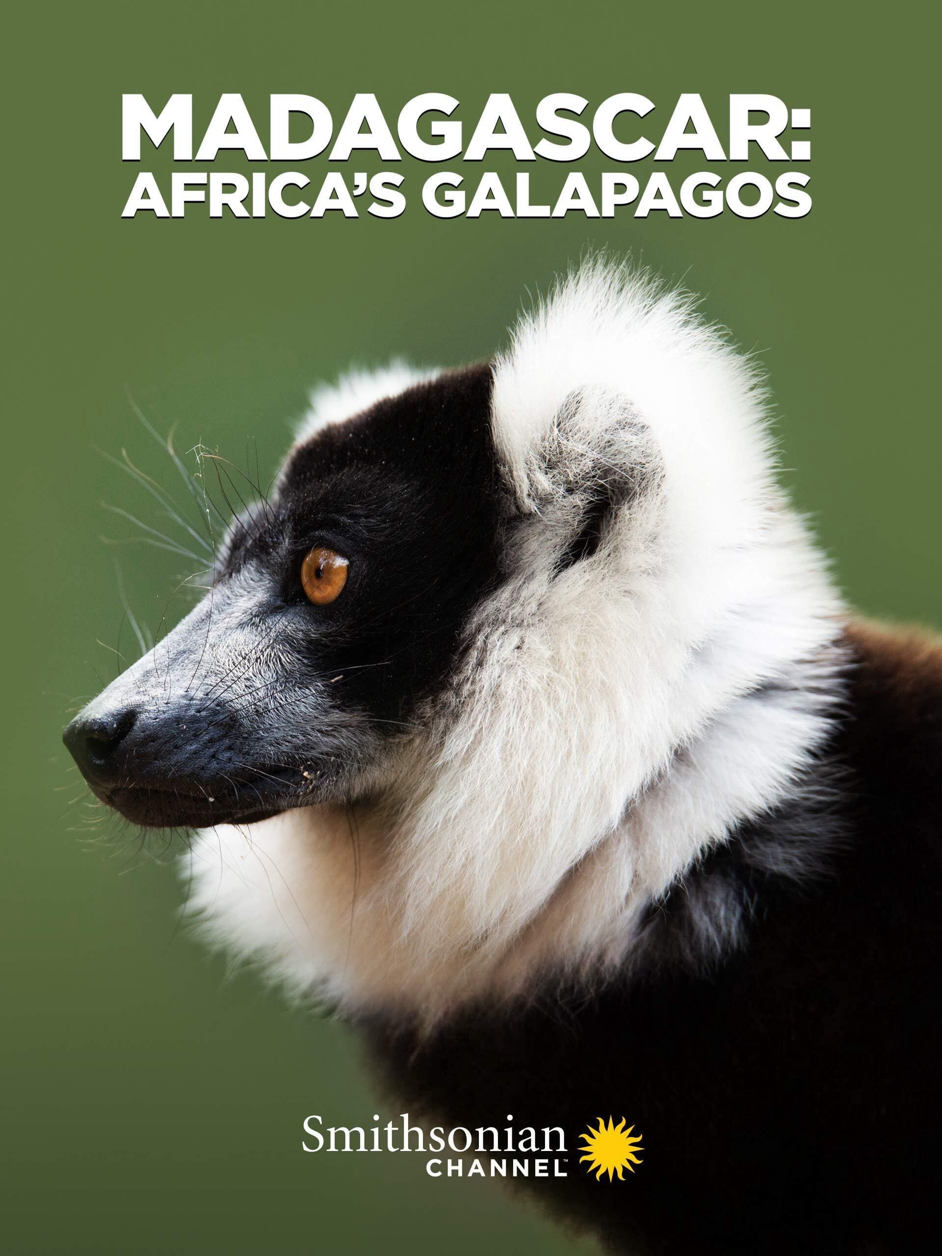 Xem phim Madagascar: Africa's Galapagos